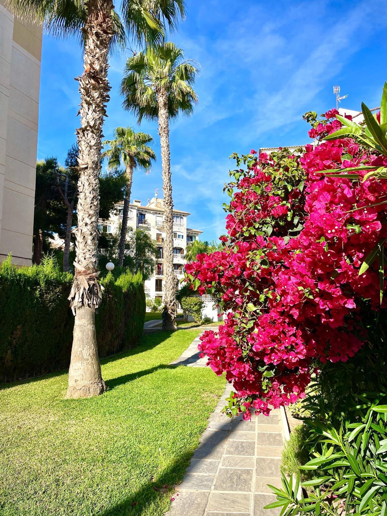 Calas Blancas Torrevieja Bagian luar foto